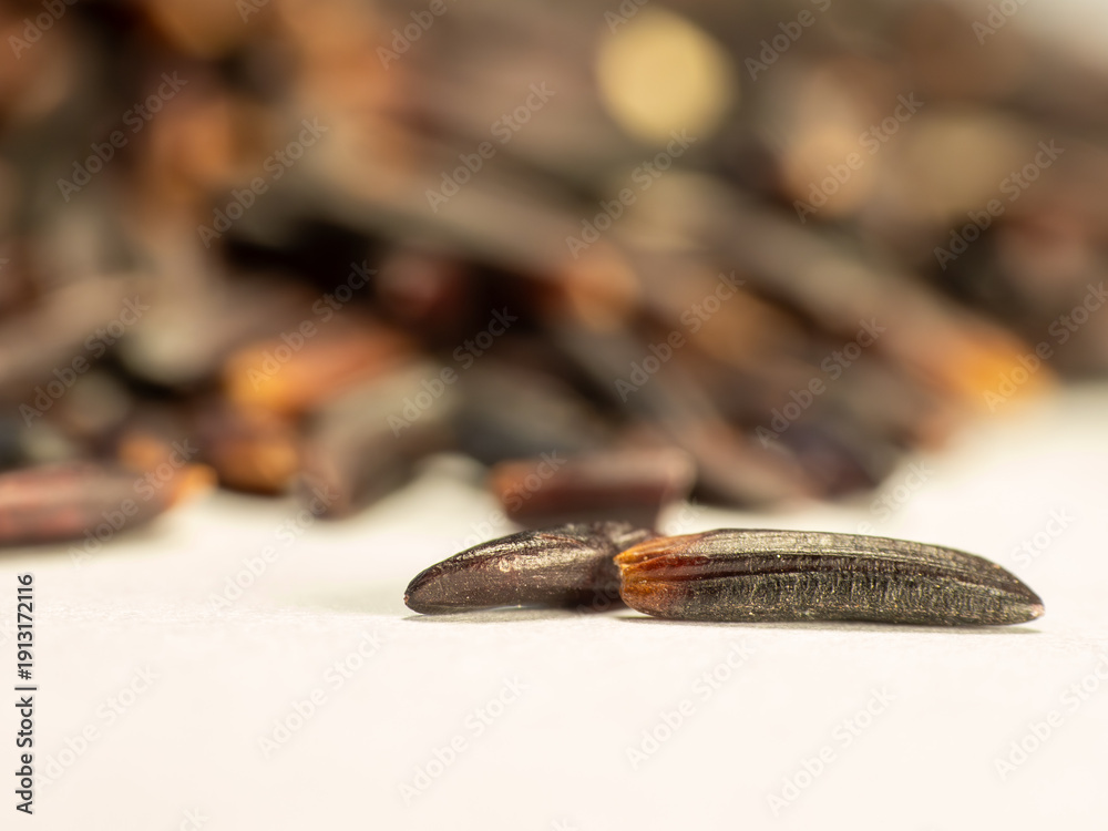 Fototapeta premium Close Up of Black Rice Grains Against a White Background, Food Staple