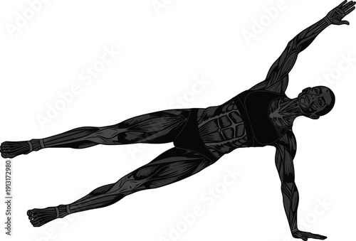 Anatomical muscle illustration of male athlete performing side plank exercise, human body strength training concept, detailed fitness and medical design isolated on white background