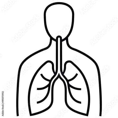 Human respiratory system diagram showing lungs trachea and bronchial tubes outline