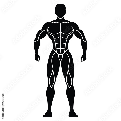 Muscular human body icon vector illustration of strong physique and fitness