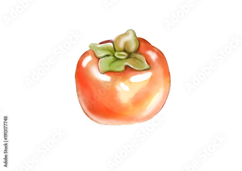 Persimmon illustration watercolour transparent png background handdrawn 