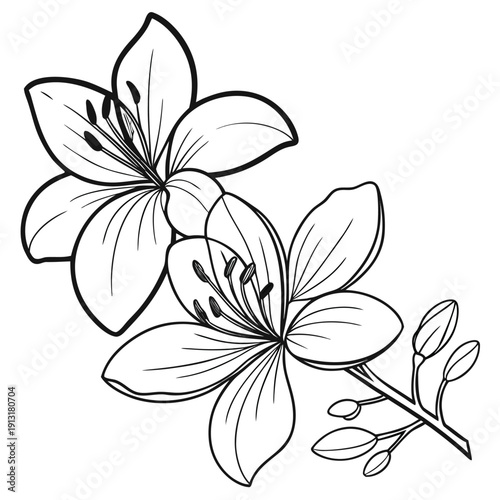 golden shower tree flower vector