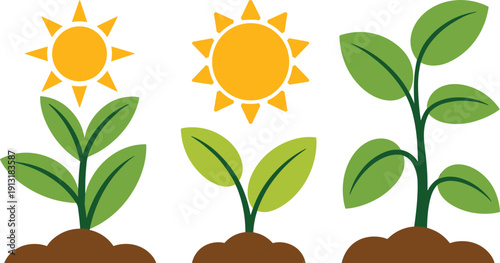 Young green plant seedlings growing in soil under bright sun set, organic gardening and ecology growth concept vector illustration isolated on white background.