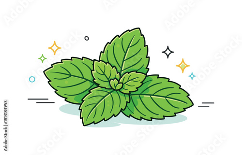 Mint leaves close up. Fresh mint leaves shown in a clean close-up view, with soft veins and gentle curves clearly visible. The scene feels