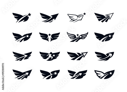 Dream Logo Variations. Dream chasing. Icon set. Set Logo of dream chasing: wings and forward motion. harmonious logo variations of the same emblematic concept,