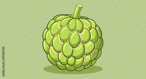 A vibrant illustration of a single green fruit with a bumpy, textured surface
