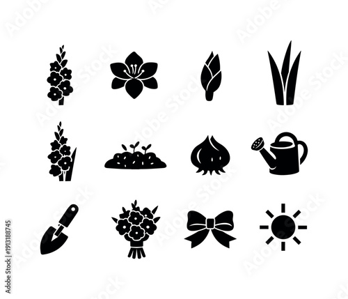 Gladiolus. Solid icon set of Gladiolus: gladiolus flower stem, gladiolus bloom open, gladiolus bud, sword shaped leaves, flower spike, garden