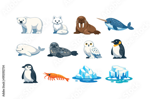 Polar endangered. Colorful flat vector icons set of polar endangered: polar bear, Arctic fox, walrus, narwhal, beluga whale, ringed seal,