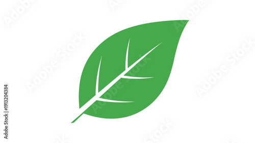 Green leaf with white veins.