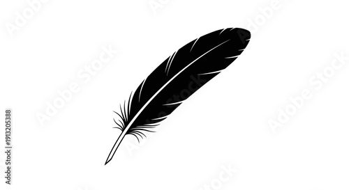 Black Feather Isolated on White.