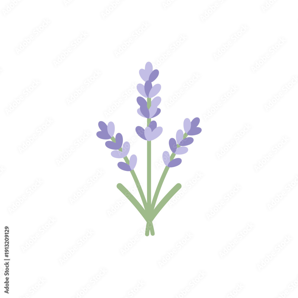Obraz premium Lavender Stems with Soft Curves Flat Design