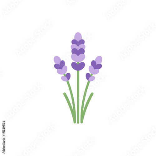 Lavender Stems with Soft Bud Clusters Icon