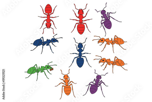 Colorful ants in red, blue, orange, purple, and green on white background insect