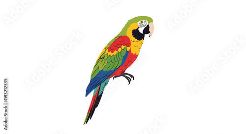 Profile of a blue and yellow macaw parrot with red and green feathers perched on a white background.