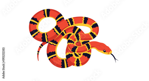 Colorful coiled snake illustration with a distinctive pattern of red black and yellow rings on a white background.