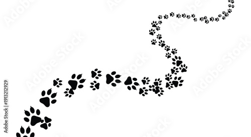 Long trail of black animal paw prints following a curved path across a plain white background representing a dog or cat walking.