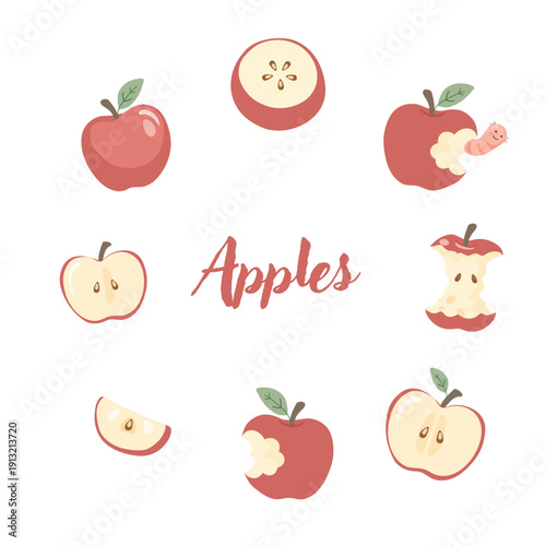 Flat vector illustration set of red apples in different states: whole, halved, sliced, bitten, and an apple core with a cute worm. Organic fruit icons collection with hand-drawn typography.