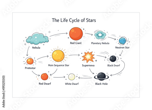 Life cycle of stars overview. Calm editorial scene showing the full stellar life cycle arranged in a clear sequence, from nebula to star