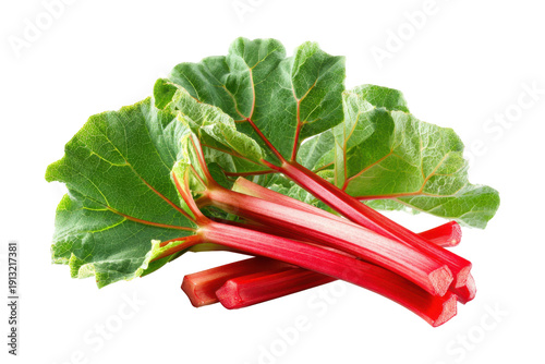 Fresh rhubarb stalks with green leaves isolated on transparent background. Fresh red rhubarb stalks with vibrant green leaves isolated on white background.