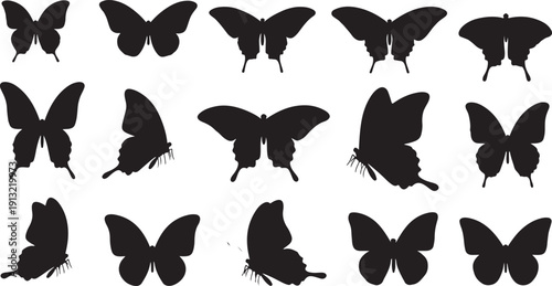 A collection of diverse butterfly silhouettes in various poses and orientations