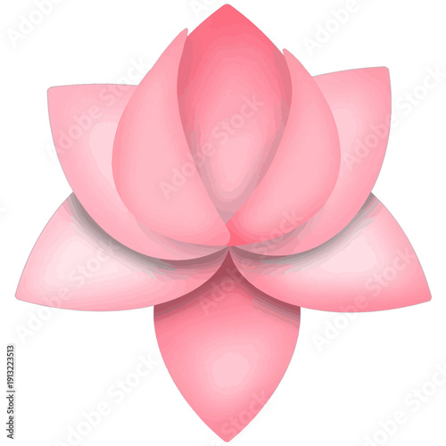 lotus 