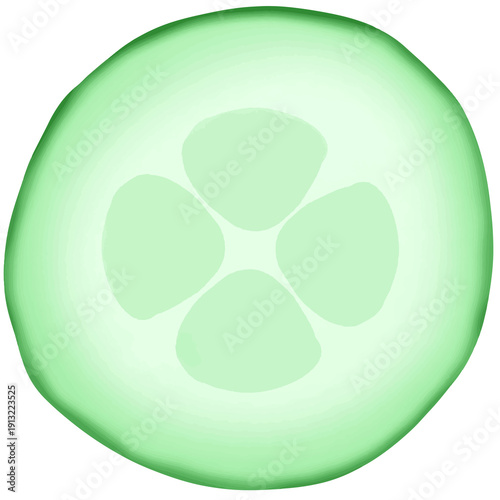Cucumber slices 