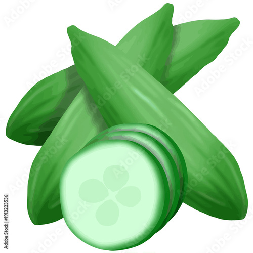 Cucumber 