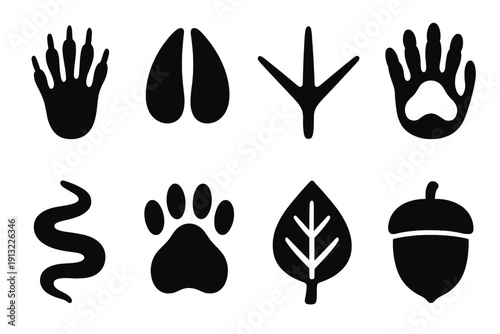 Animal Footprints Icons. Forest Tracks Icons silhouette set: squirrel paw, deer hoof, bird print, badger paw, snake trail, raccoon footprint, leaf, acorn