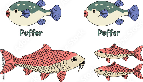 Puffer Fish and Koi Carp Illustration Set Cute and Detailed Aquatic Vector Collection