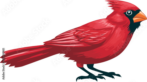 A vibrant illustration features a red bird, showcasing detailed feathers and a contrasting black beak