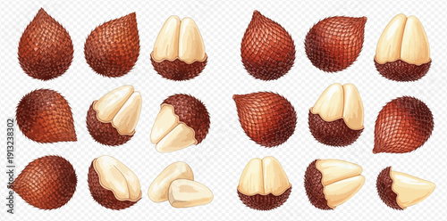 Salak fruit set, whole and peeled snake fruit, tropical exotic food collection.