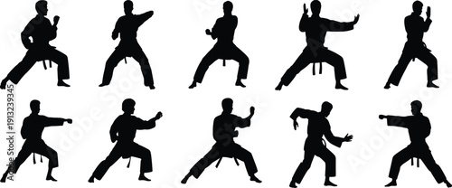 Collection of black silhouettes of martial artists in various karate poses and stances on a white background