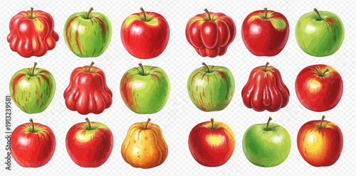 Variety of fresh apples, including red, green, and unique shapes, on a transparent background.