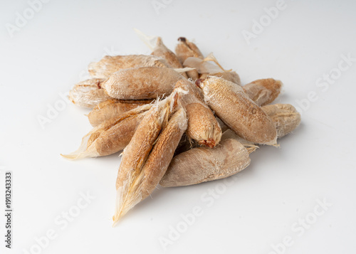 Tableau sur toile Isolated date seeds and date stones with macro texture