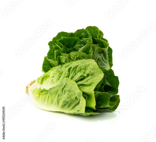 Vászonkép Two romaine lettuce salad isolated