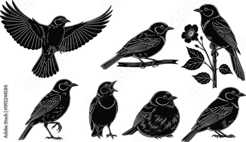 Detailed black and white silhouette illustration of seven birds in various natural poses, symbolizing wildlife, ornithology, nature design, and artistic feathered animal representation.