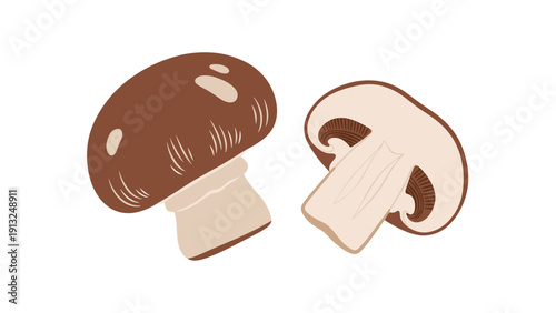 Two brown mushrooms with one sliced in half to show the internal structure are displayed clearly on a clean and simple white background.