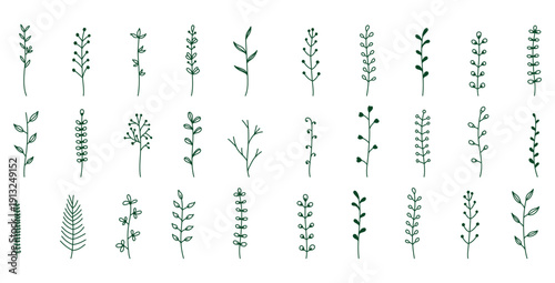 Collection of charming hand drawn botanical elements featuring various dark green leafy sprigs and delicate floral vine outlines perfect for decoration