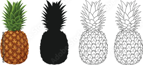 Detailed pineapple vector illustration set showing colorful fruit, black silhouette, and clean outline styles for branding, packaging, print, and design projects usage