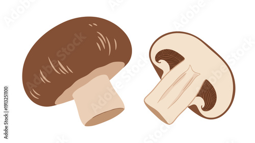 Two fresh shiitake mushrooms are illustrated with one whole cap and one sliced down the middle to reveal the gills and stem structure.