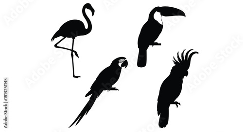 Collection of exotic birds silhouettes featuring flamingo parrot toucan and hoopoe in unique poses