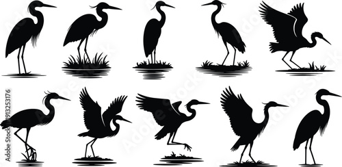 Heron and Egret Bird Silhouette Collection Featuring Standing and Flying Wading Birds Isolated on White Background Vector Set