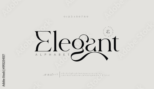 Elegant Font Uppercase Lowercase and Number. Classic Lettering Minimal Fashion Designs. Typography modern serif fonts regular decorative vintage concept. vector illustration
