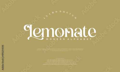 Elegant luxury abstract digital technology logo font alphabet. Minimal modern urban fonts for logo, brand etc. Typography typeface uppercase lowercase and number. vector illustration
