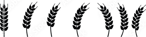  Minimalist Black Wheat Stalk Silhouette Vector Set with Detailed Grain Heads and Awns for Agriculture Farm Bakery Harvest and Organic Food Illustrations