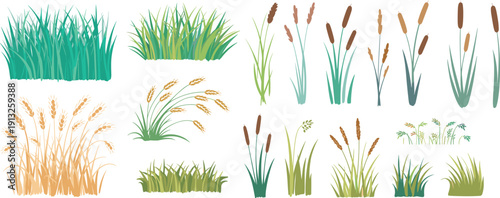 Collection of Grass, Wheat and Reed Plants Vector Illustration Set with Meadow Foliage, Wild Field Herbs and Cattails Isolated on Light Background