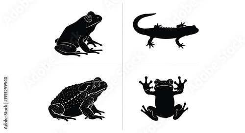 Vector illustrations of various frog species in different poses and silhouettes on a clean white background