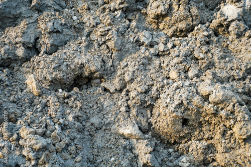 Tableau sur toile Close up view of rough grey and brown clay soil texture with rough lumps and cre