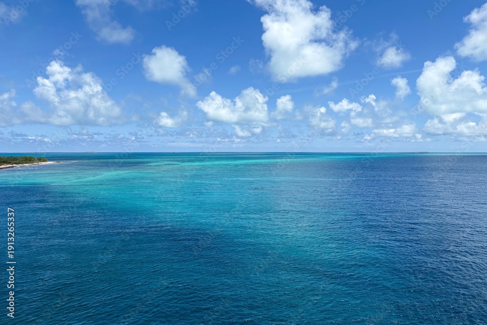 Obraz premium Tropical Blues