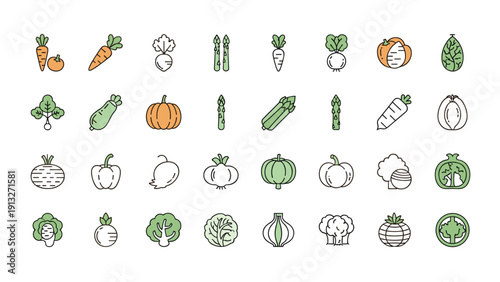 Grid of various vegetable icons including carrots, pumpkins, cabbage, and asparagus in a simple flat style for culinary projects.